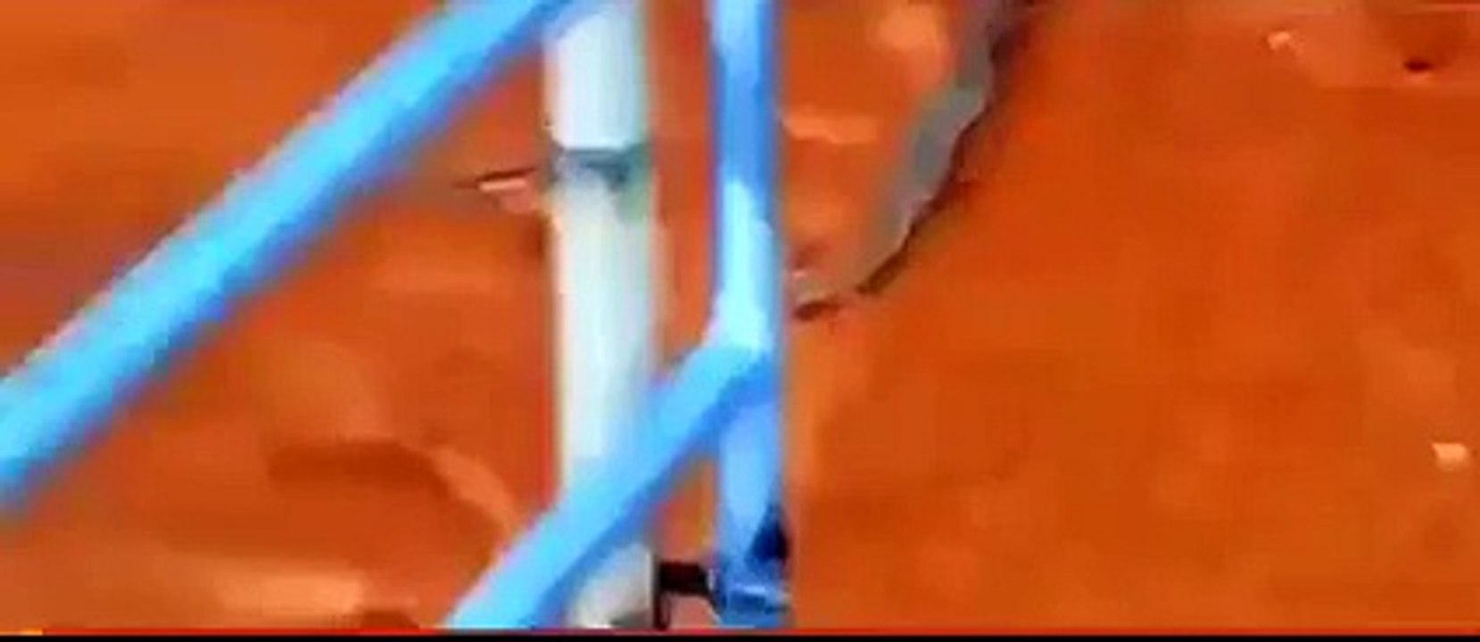 Blue Snake VS Rattle snake