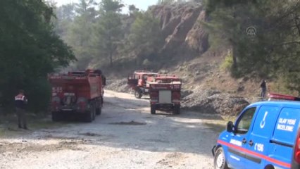 Köyceğiz'de Orman Yangını