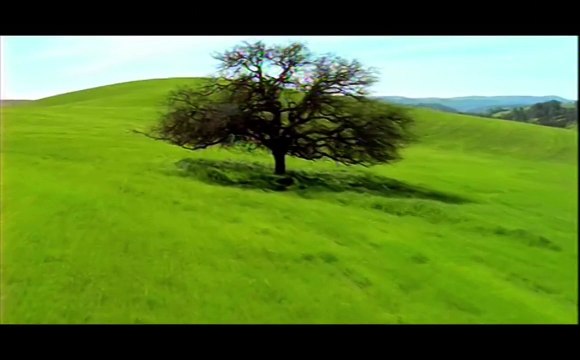 Hoşdere Pimapen Renk Seçenekleri