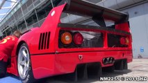 Ferrari F40 LM INSANE SOUND - Accelerations, Fly Bys and Backfiring!