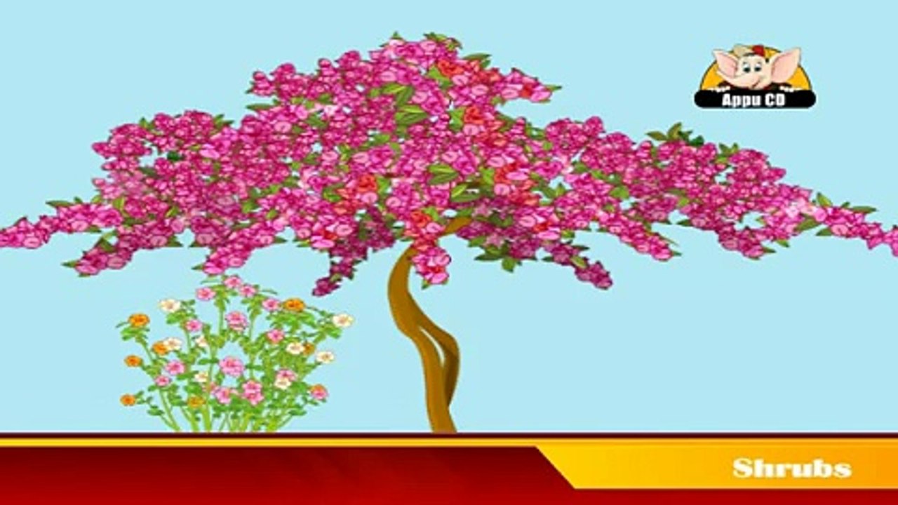 Learn about Plants in Hindi - Shurbs