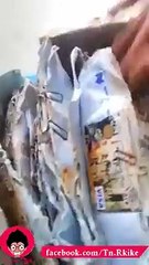 يحدث في البنوك التونسية ملا فضايح