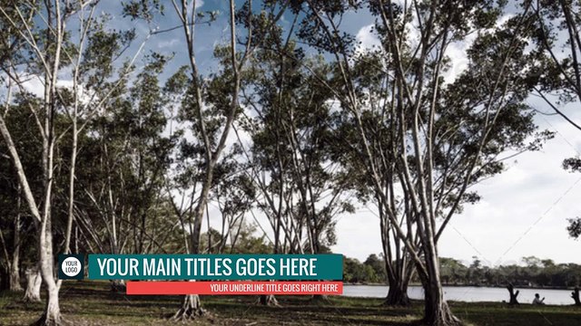 After Effects Project Files - Flat Lower Thirds Pack - VideoHive 8978221