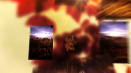 Landscaper Denver CO Call (303) 578-4788