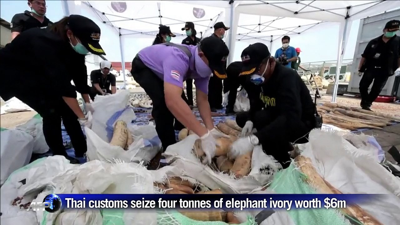 Thai customs seize African elephant tusks worth $6 mn