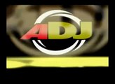 AMERICAN DJ: LEDストロボ FLASH SHOT DMX