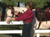 How-To Perform a Safety Check of a Horse Video: by the Certified Horsemanship Association