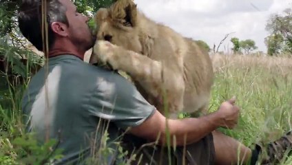 Protecting Lions - Kevin Richardson Wildlife Sanctuary   Sponsored by Fixodent