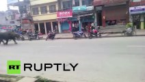 Rhino rampage  Wild animal terrifies Nepal town, killing 1 & injuring 6