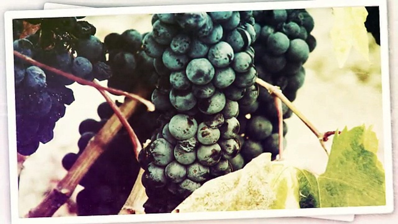 After Effects Project Files - Vintage Photo Opener - VideoHive 8996994