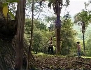 Coração Indomavel 113