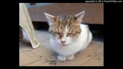 夢をかなえてドラえもん/mao/黒須克彦/Doraemon/ピアノ 高橋丈太郎