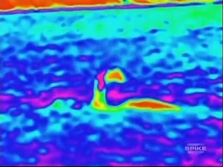 "Champ" the sea monster of Lake Champlain