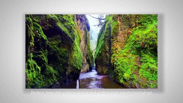 LG G4 kamerası ile profesyonel çekim