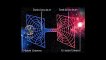 Les scientifiques du CERN espèrent créer un contact avec des univers parallèles dans les jours à venir