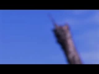 Palmeraie de Marrakech : Vie & Survie