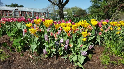 Samsung Galaxy S6: Camera Performance (4K) - SoldierKnowsBest