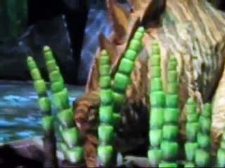 CAMINANDO CON DINOSAURIOS GUADALAJARA.wmv