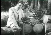 Godfried Bomans leest sprookje voor in z'n eigen tuin
