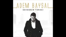 ADEM BAYSAL - DELİ GÖNÜL