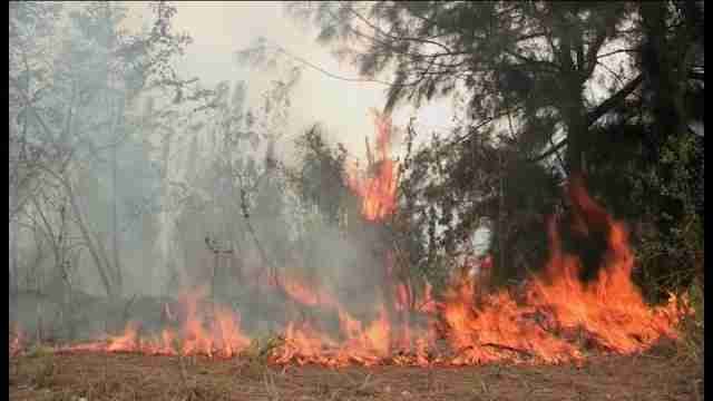 Más de 400 hectáreas calcinadas en el condado de Miami-Dade