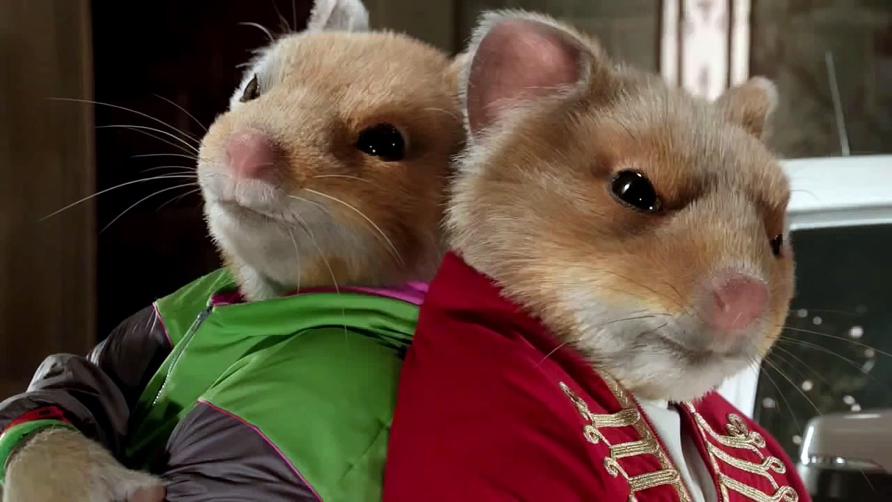 2013 Kia Soul Hamster Commercial Gangnam