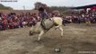 SUPER JARIPEO EXTREMO EN CRANBURY NEW JERSEY ESCUADRON MG VS RANCHO EL CAPRICHO ABRIL 2015 EXELENTE MONTA TORO SALVAJOTE Y VALIENTE JINETE CON ESPUELA REGLAMENTARIA