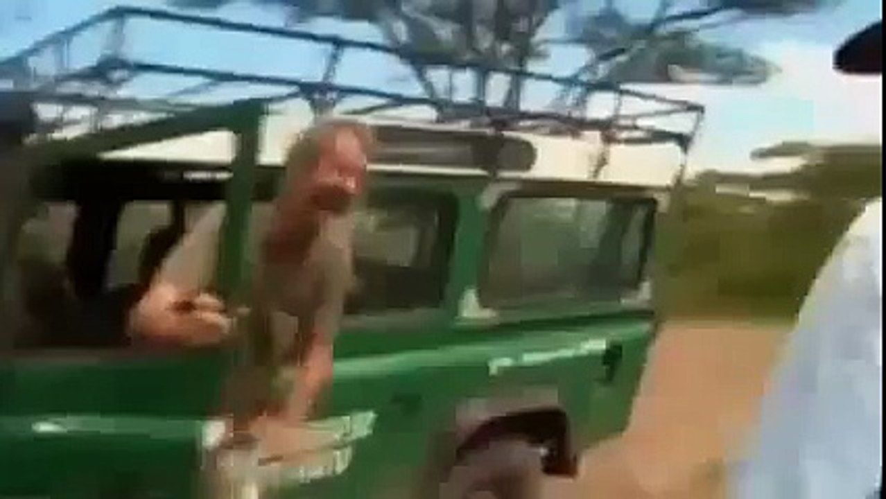 Animal Planet Channel 2015 | Wild Life Documentary | Wildlife Documentary National Geograp