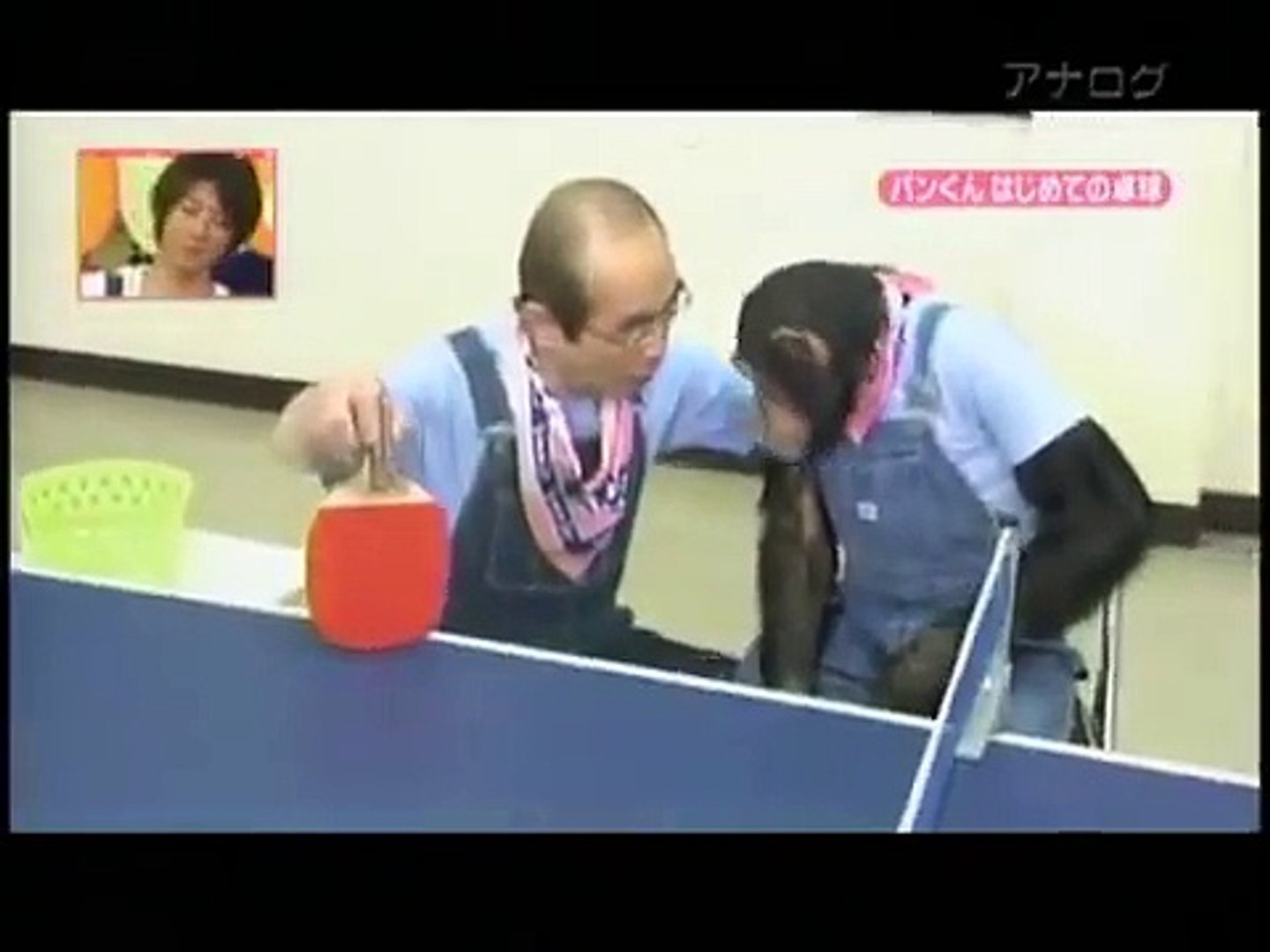 Dunya News-Chimpanzee learning how to play table tennis