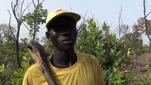 La dégradation de l'environnement dans le Sénégal oriental