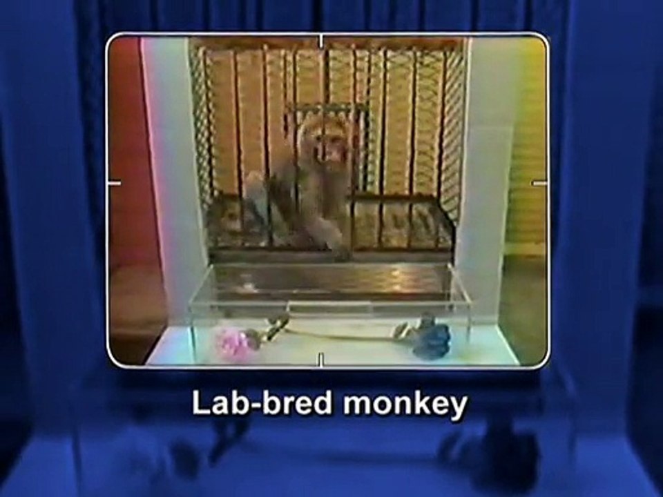 Science Frontiers - Scare Me