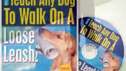 How To Train Your Dog Not To Pull - Loose Leash Walking