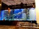 Heron Tower London England Beautiful Huge Aquarium Tropical Fish Big Enough Ron - Phil in Bangkok