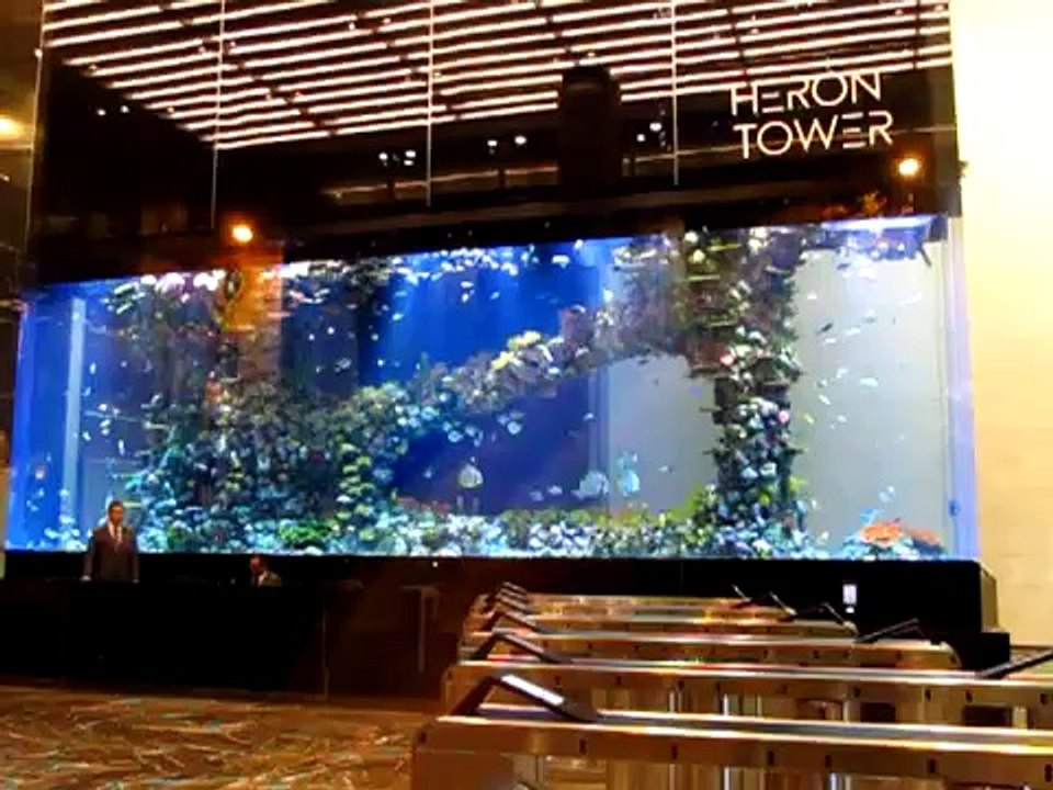 Heron Tower London England Beautiful Huge Aquarium Tropical Fish Big Enough Ron Phil in