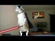 Jedi cats fights compy star wars .wmv