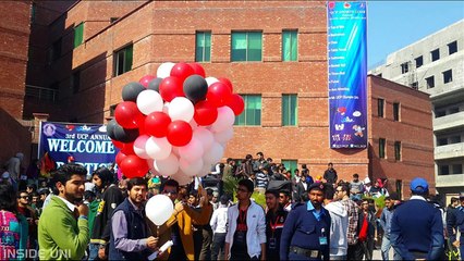 UCP 3rd Annual Sports Festival