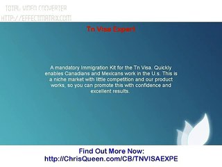 Tn Visa Expert
