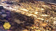 Sugar dusting.the honey bees for varroa mite control