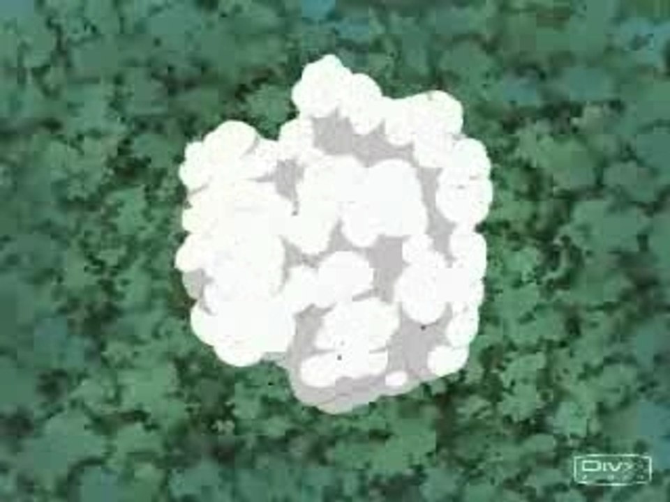 AMV GAARA