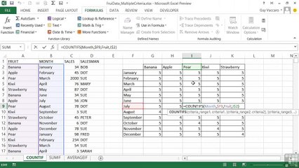 Multiple Criteria Within SUMIF, COUNTIF, And AVERAGEIF - 02 - 06