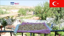 터키 여행 Travel to Turkey, Korean TV ④/⑩