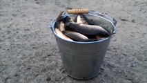 Очень много рыбы,прикол )))))-видео приколы смотреть бесплатно