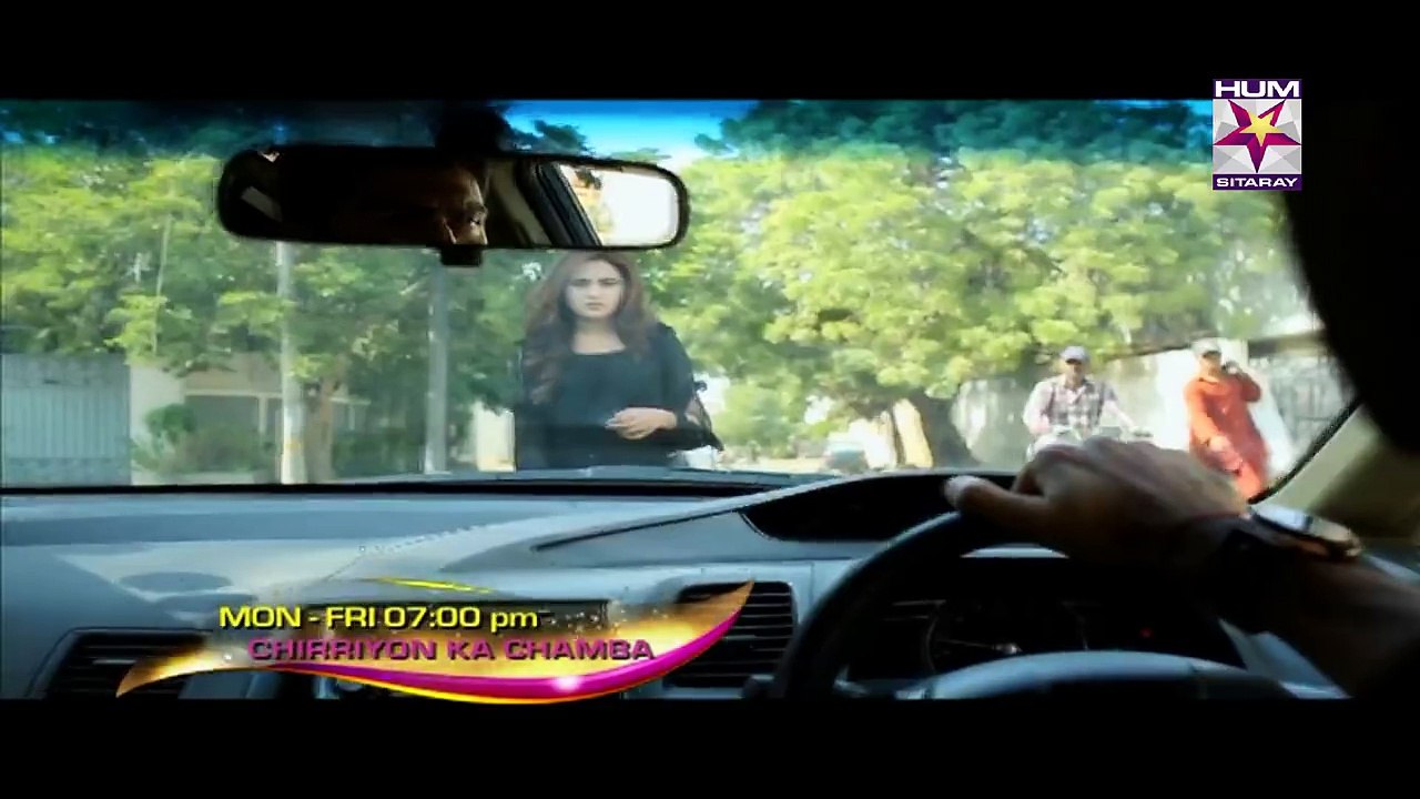 Chidiyan Da Chamba promo