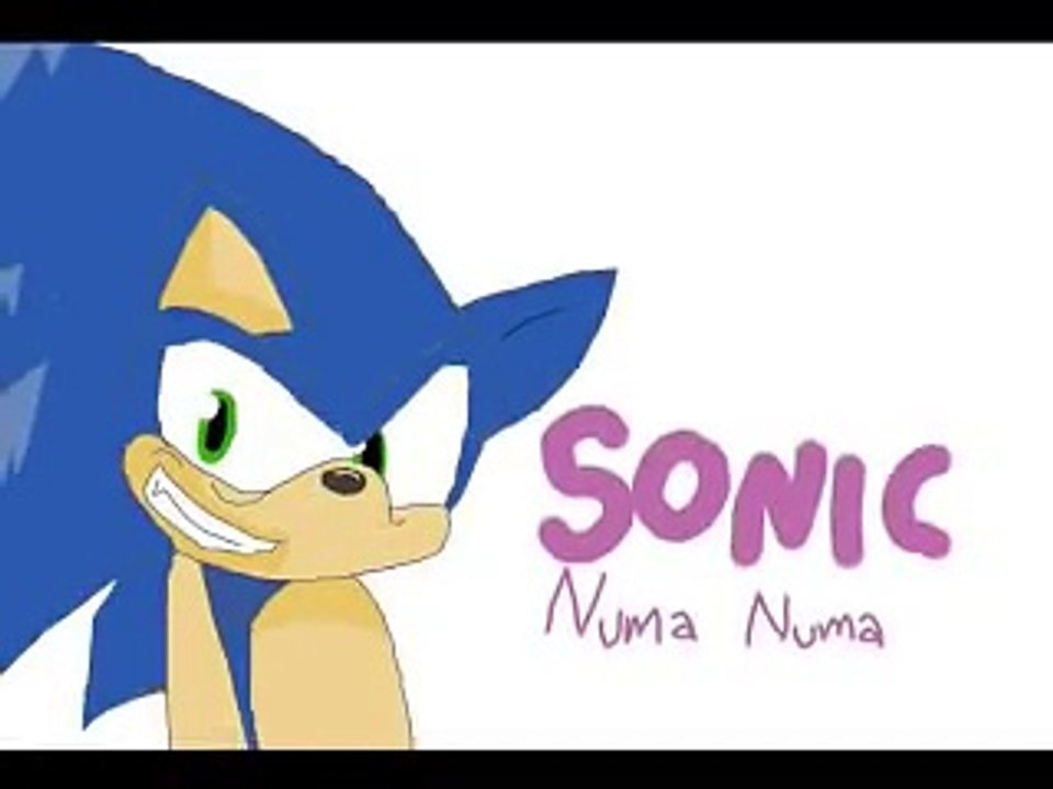 Sonic Numa Numa by O-Zone