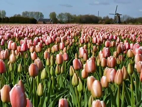 Concerto De Aranjuez Adagio - Joaquin Rodrigo