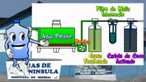 Peninsulin te enseña el proceso de purificación del agua