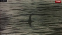 Reportage de France 2 sur le monstre du Loch Ness (1980)