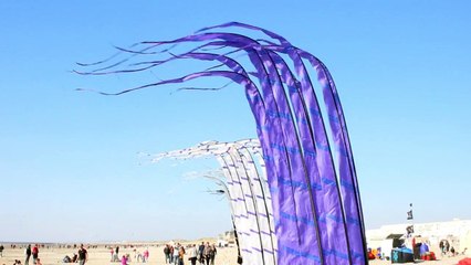 D'Epinal à Berck pour les cerfs-volants