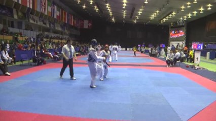 Türk Tekvandosu Dünyada Çok Büyük Bir Yere Sahip"