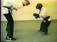 Dunya News- Amazing Karate Monkey
